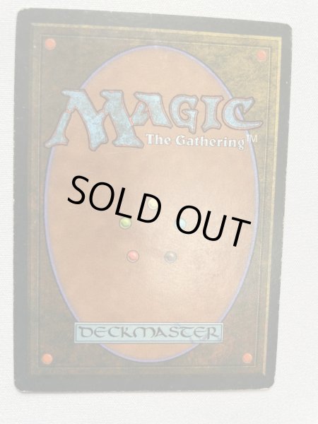 画像3: フランス語《Tropical Island》[FBB] HP (3)