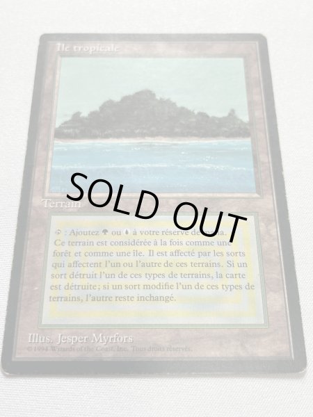 画像2: フランス語《Tropical Island》[FBB] HP (2)