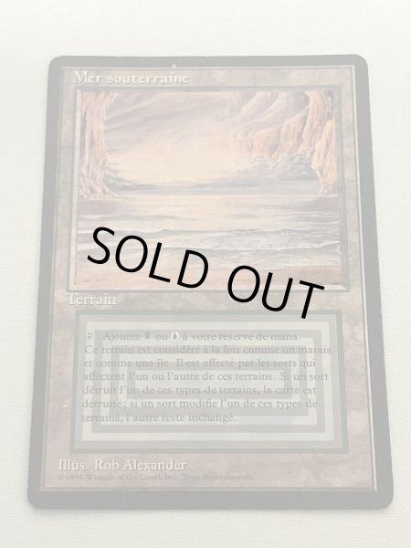 画像1: フランス語《Underground Sea》[FBB] HP (1)