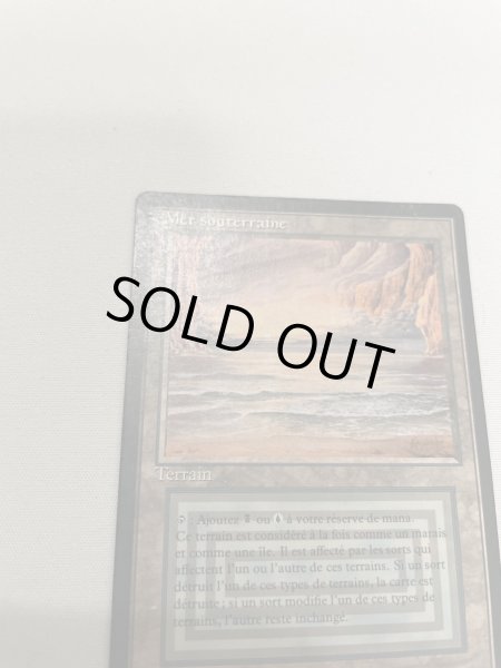 画像2: フランス語《Underground Sea》[FBB] HP Inked (2)