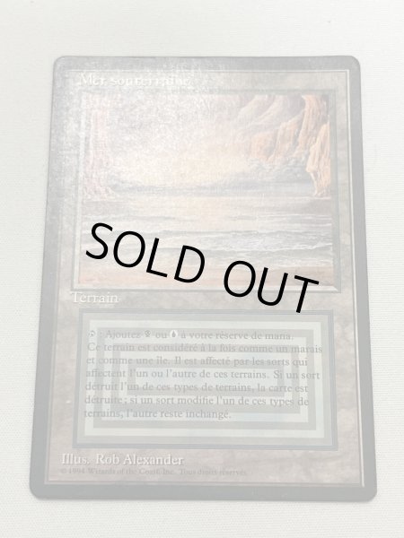 画像1: フランス語《Underground Sea》[FBB] HP Inked (1)