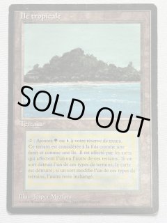 Tropical Island - MTG専門店 Initiative