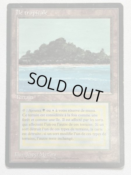 画像1: フランス語《Tropical Island》[FBB] HP (1)