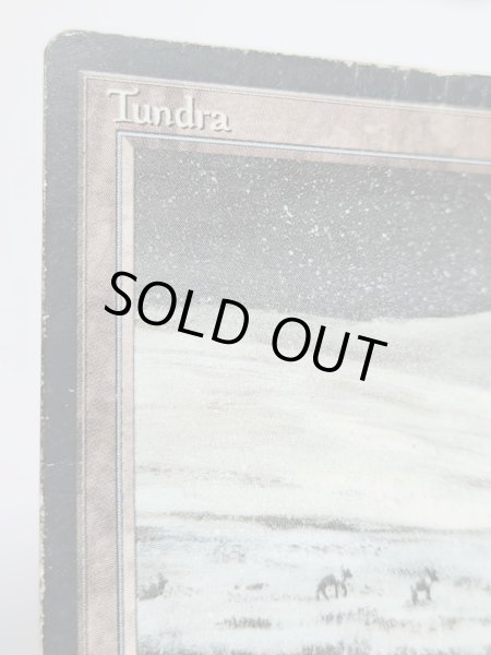 画像3: イタリア語 《Tundra》[FBB] HP Inked (3)