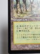 画像4: 日本語《ガイアの揺籃の地/Gaea's Cradle》[USG] NM (4)