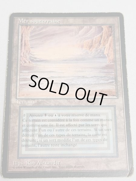 画像1: フランス語《Underground Sea》[FBB] HP Inked (1)