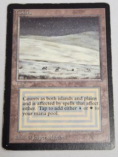 Tundra - MTG専門店 Initiative