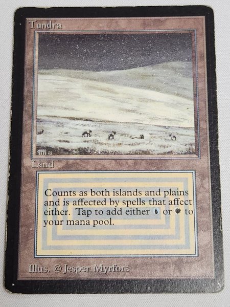 画像1: 《Tundra》[LEB] HP (1)