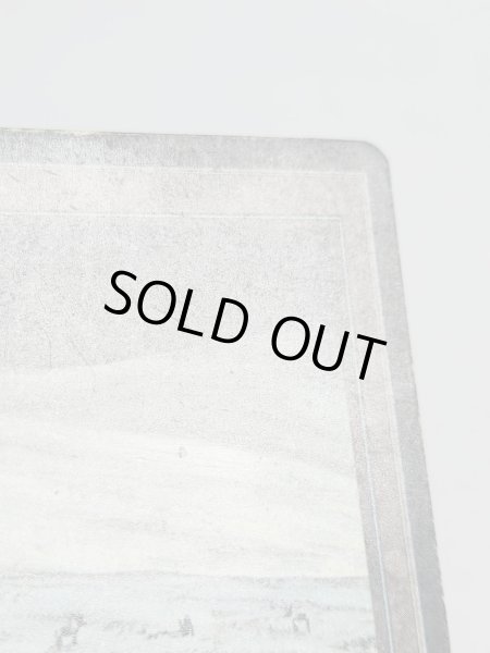 画像6: イタリア語 《Tundra》[FBB] HP Inked (6)