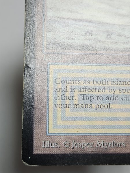 画像4: 《Tundra》[LEB] HP (4)