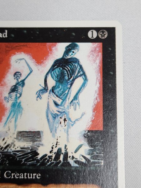 画像6: 《動く死体/Animate Dead》[SummerMagic] NM (6)