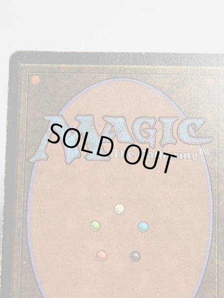 画像7: イタリア語 《Tundra》[FBB] HP Inked (7)