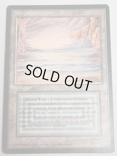 画像1: フランス語《Underground Sea》[FBB] MP (1)