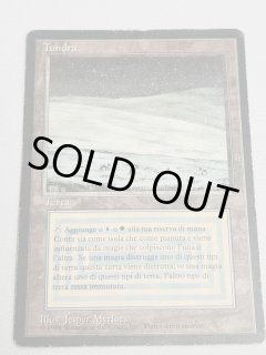 Tundra - MTG専門店 Initiative