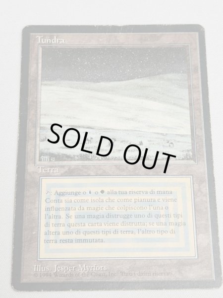画像1: イタリア語 《Tundra》[FBB] HP Inked (1)