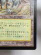 画像5: 日本語《ガイアの揺籃の地/Gaea's Cradle》[USG] NM (5)