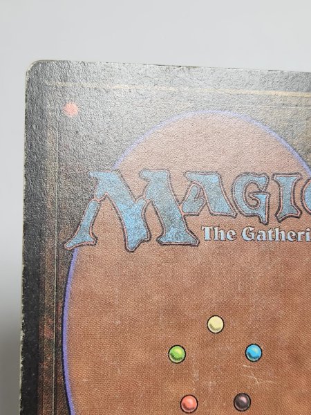 画像7: 《Tundra》[LEB] HP (7)