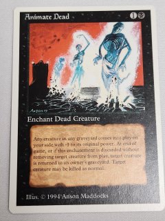 黒 - MTG専門店 Initiative