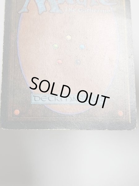 画像8: イタリア語 《Tundra》[FBB] HP Inked (8)