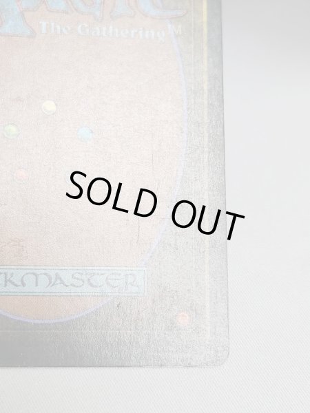 画像7: 《Tropical Island》 3ED HP (7)