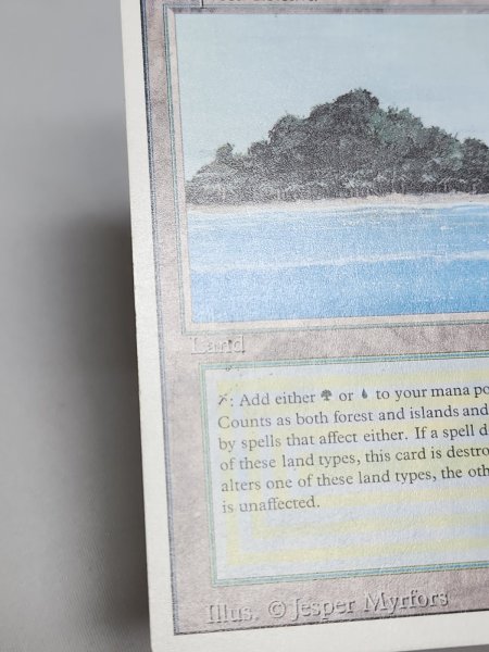 画像3: 《Tropical Island》 3ED MP (3)