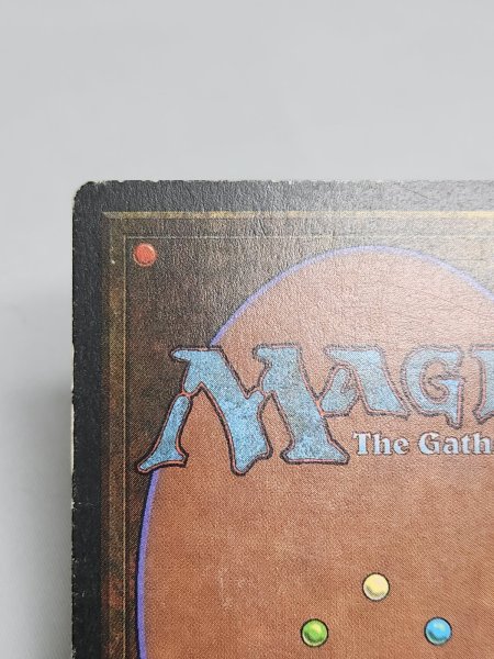 画像6: 《Tropical Island》 3ED MP (6)