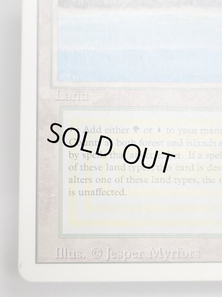 画像3: 《Tropical Island》 3ED HP (3)