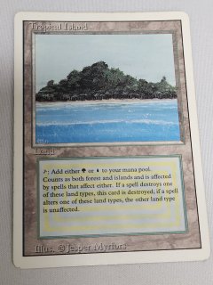 Tropical Island - MTG専門店 Initiative