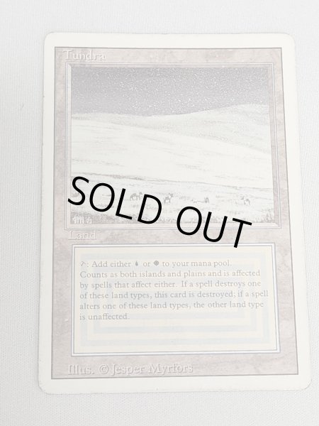 画像1: 《Tundra》[3ED] HP インク (1)