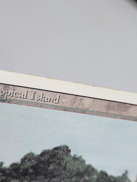 画像3: 《Tropical Island》 3ED MP (3)