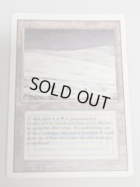 画像1: 《Tundra》[3ED] MP インク (1)