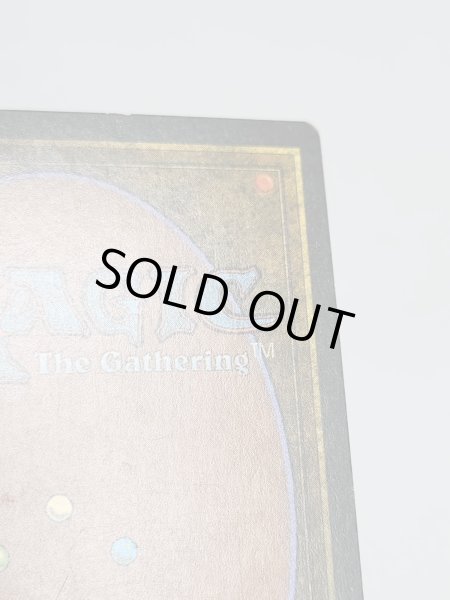 画像6: 《Tropical Island》 3ED HP (6)