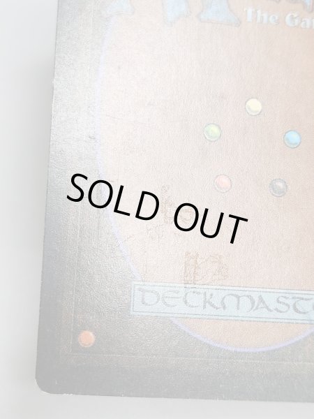 画像5: 《Tropical Island》 3ED HP (5)