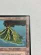 画像3: 《Volcanic Island》[3EDBB] フランス語 MP (3)
