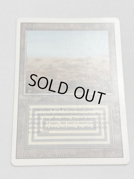 画像1: 《Scrubland》[3ED] MP (1)