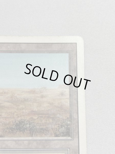 画像3: 《Scrubland》[3ED] MP (3)