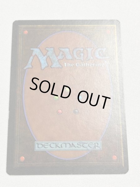 画像6: 《Scrubland》[3ED] MP (6)