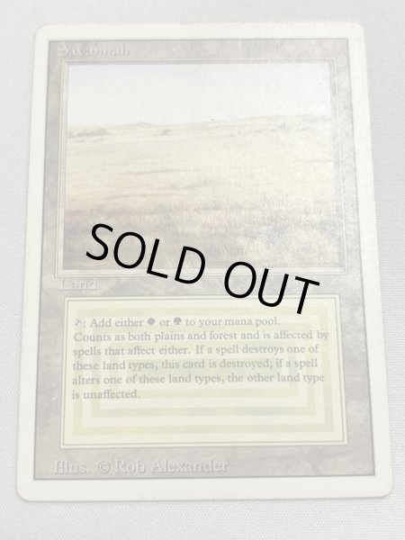 画像1: 《Savannah》[3ED] MP (1)