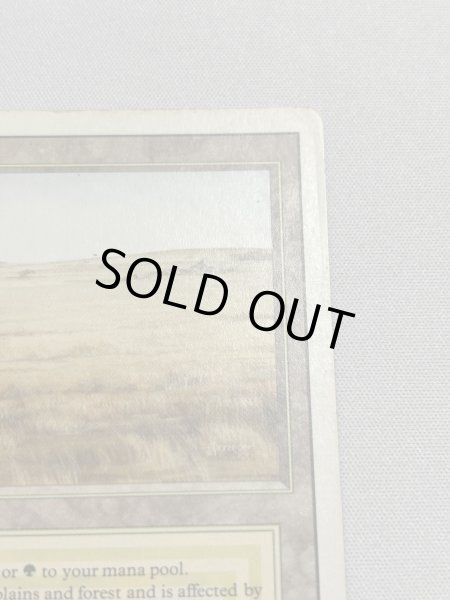 画像3: 《Savannah》[3ED] MP (3)