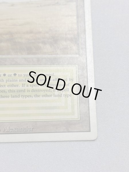 画像5: 《Savannah》[3ED] MP (5)