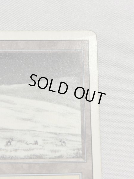 画像3: 《Tundra》[3ED] HP (3)