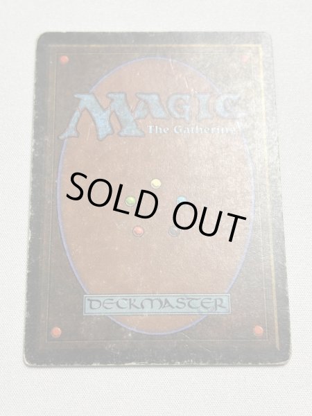 画像6: 《Tundra》[3ED] HP (6)