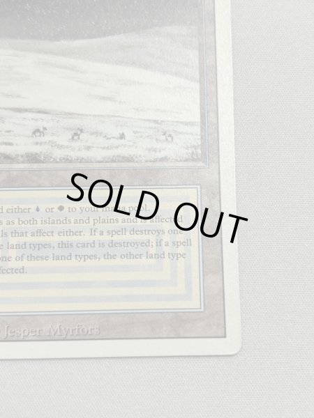 画像5: 《Tundra》[3ED] MP (5)