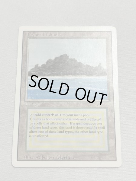 画像1: 《Tropical Island》 3ED SP (1)