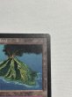 画像3: 《Volcanic Island》[LEB] SP ink (3)