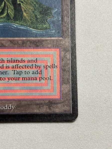 画像5: 《Volcanic Island》[LEB] MP (5)