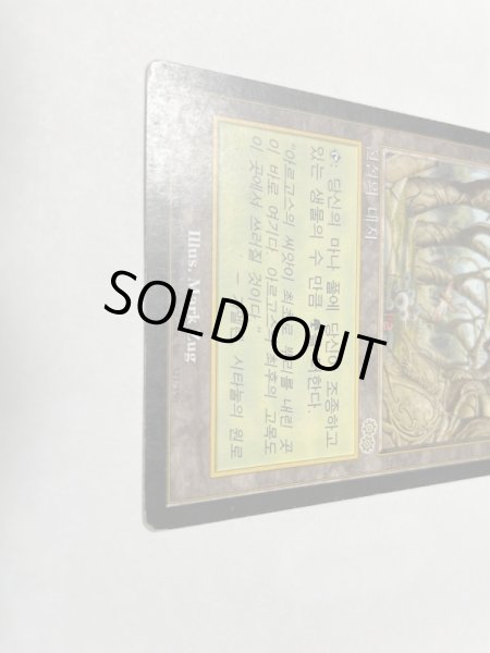 画像2: 韓国語《ガイアの揺籃の地/Gaea's Cradle》[USG] HP (2)