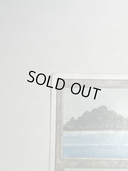 画像2: 《Tropical Island》 3ED MP (2)