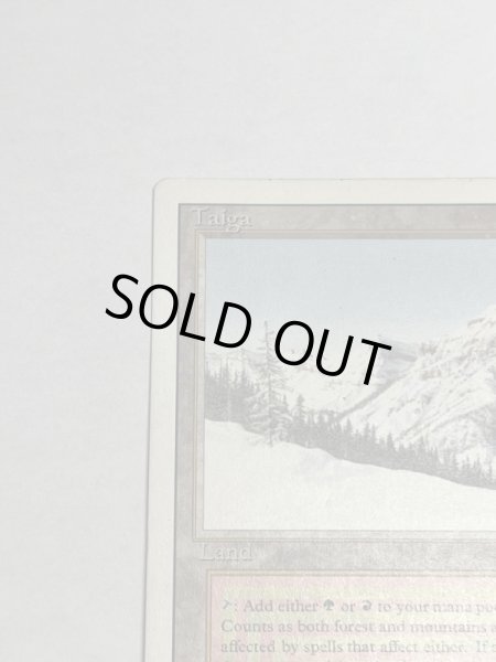 画像2: 《Taiga》3ED HP (2)