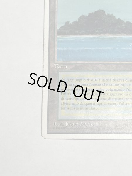 画像4: 《Tropical Island》 3ED Poor イタリア語 (4)